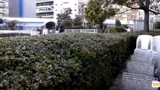 欧式风格装修效果图坐标温州，母狗菊花舔得津津有味